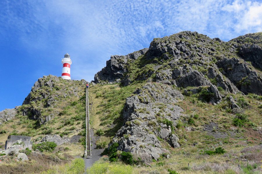 Cape Palliser Lighthouse image