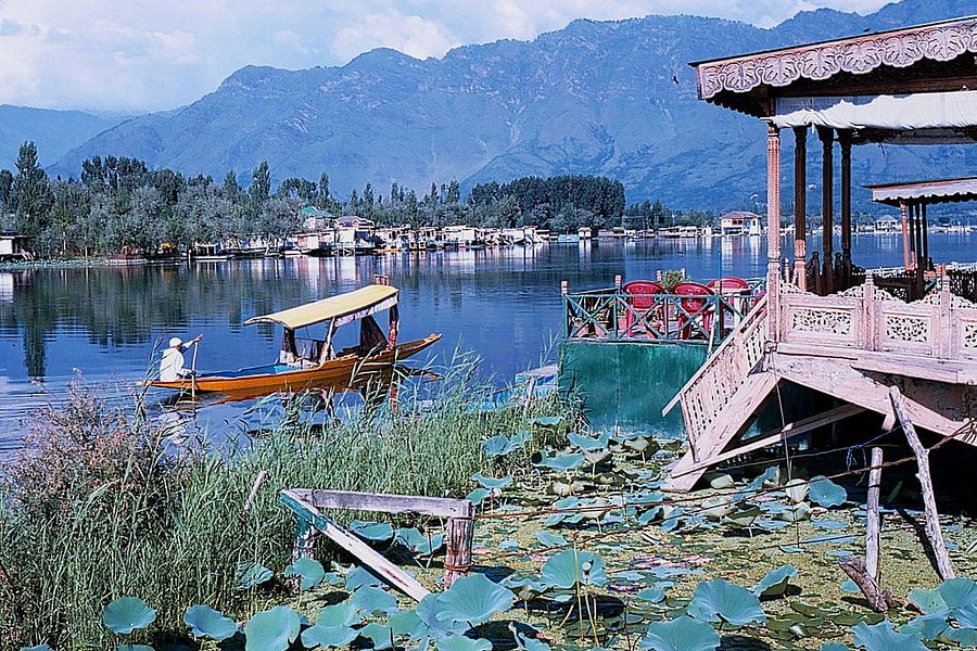 Dal Lake image