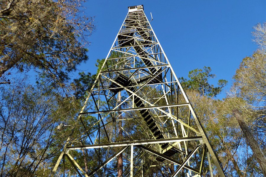 Richloam Fire Tower Trailhead image