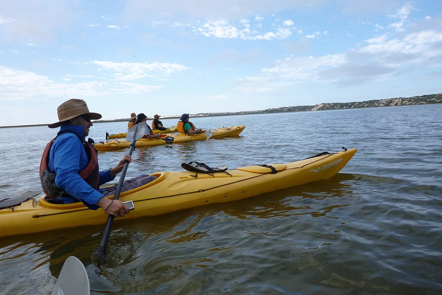 Canoe The Coorong - Day Tours image