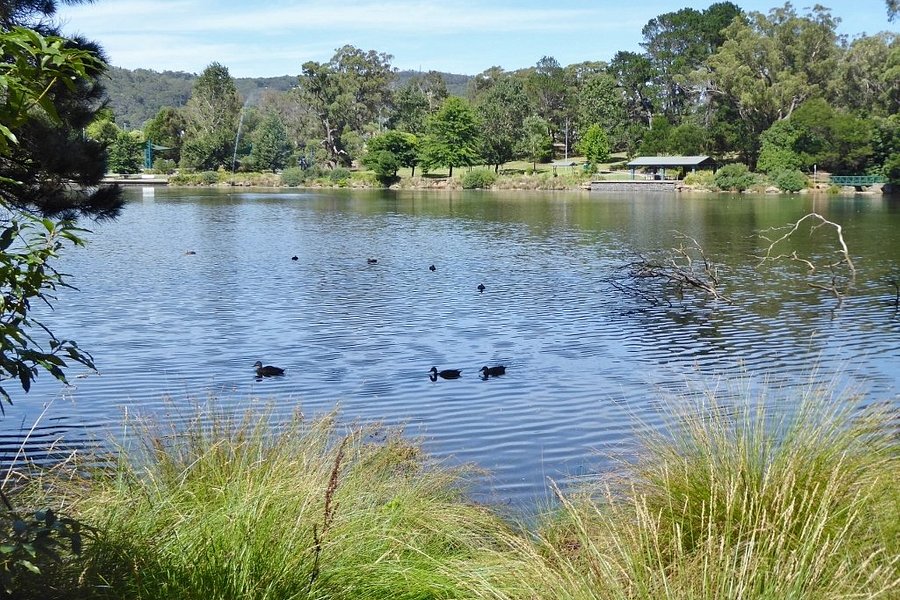 Lake Alexandra Reserve image