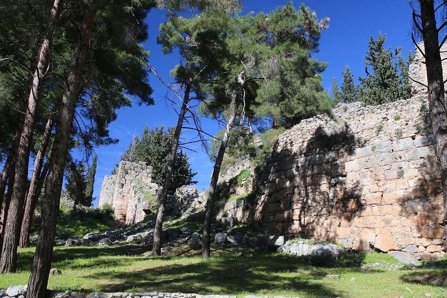 Salona Castle image