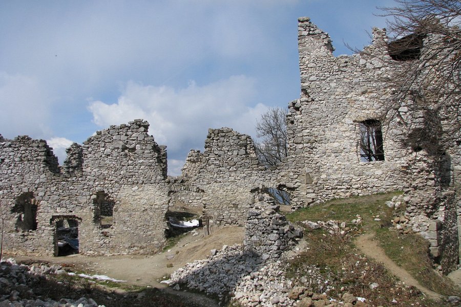 The ruins of the castle Tematin image