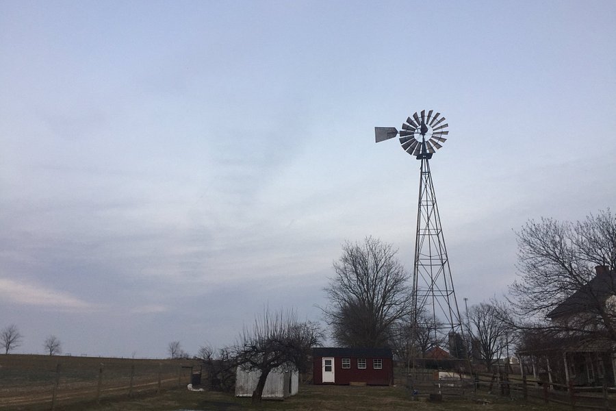 Old Windmill Farm image