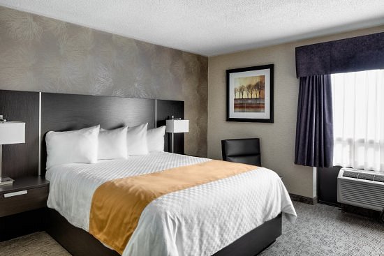 Things To Do in Talbot Trail Inn & Suites, Restaurants in Talbot Trail Inn & Suites