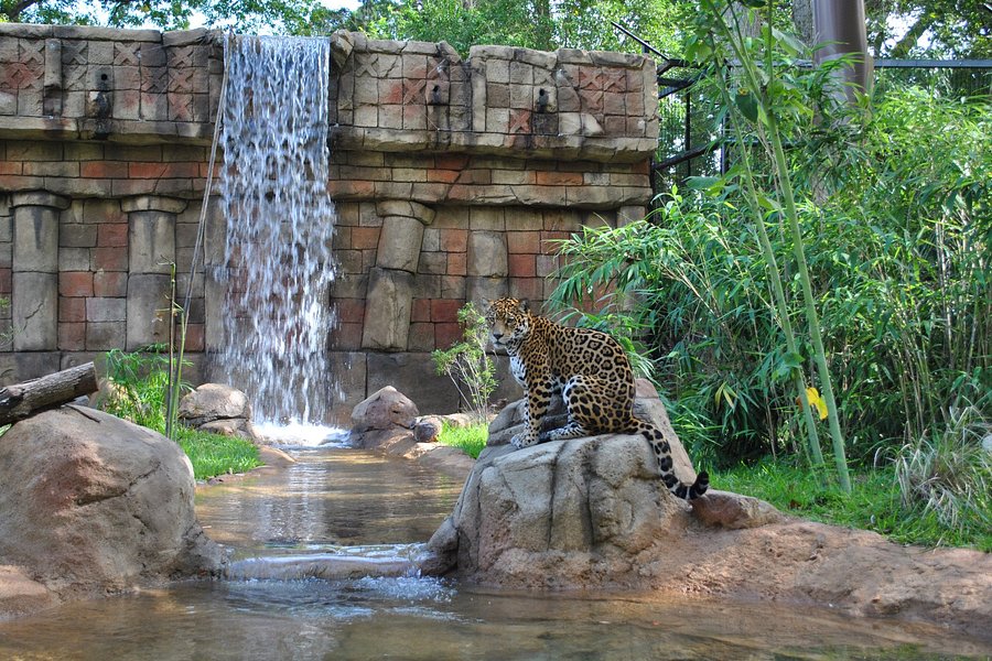 Alexandria Zoological Park image