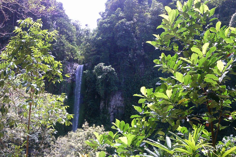 Katibawasan Falls image