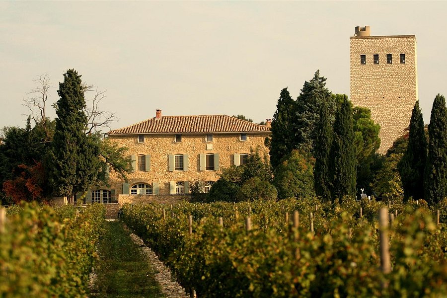 Chateau de la Gardine image