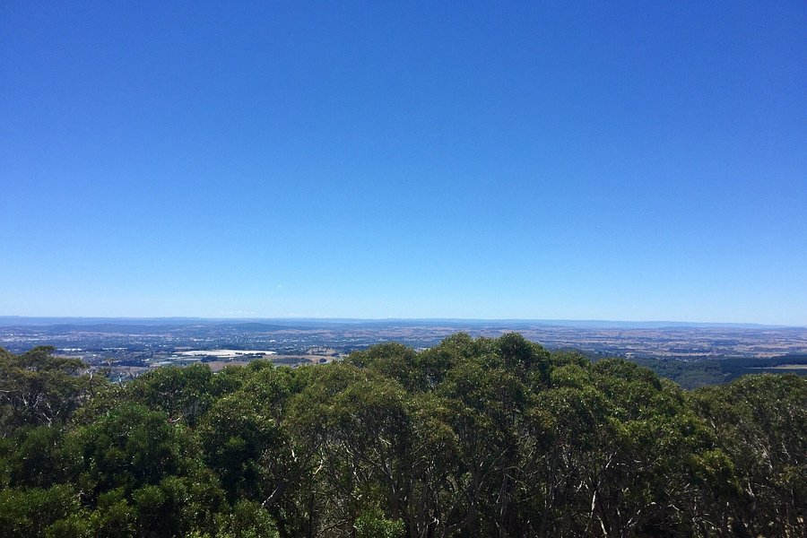 Mount Canobolas State Conservation Area image