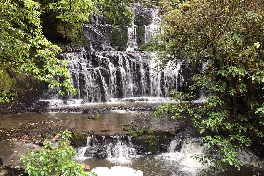 Matai Falls Walk image