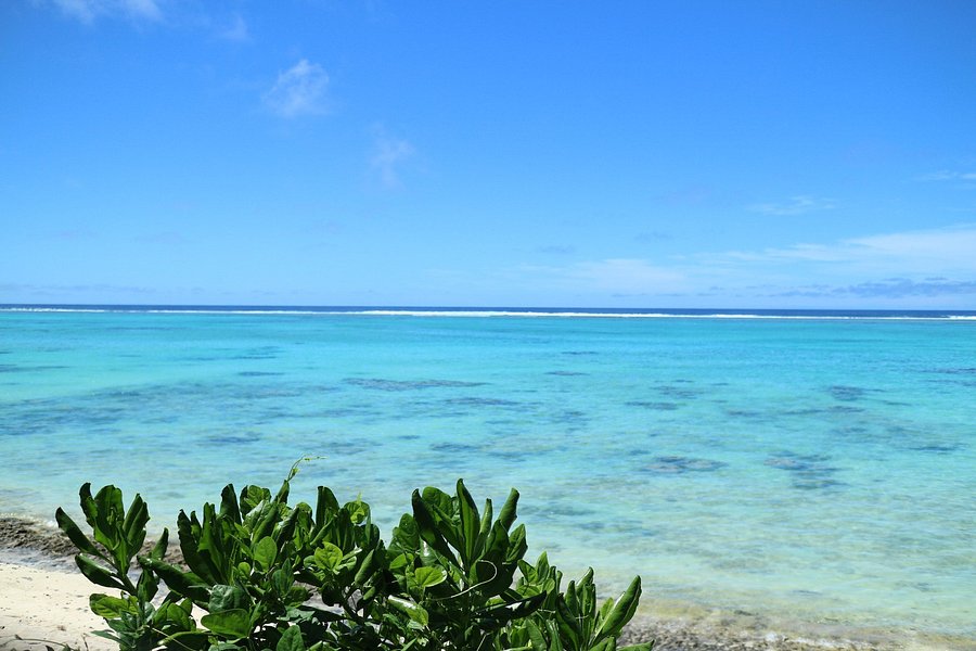 Tikioki Marine Reserve image