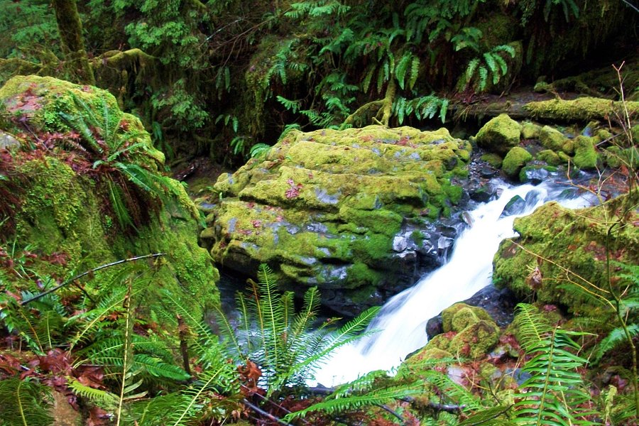 Fall Creek Falls image