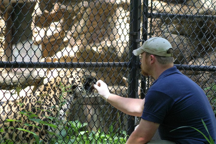 Beardsley Zoo image