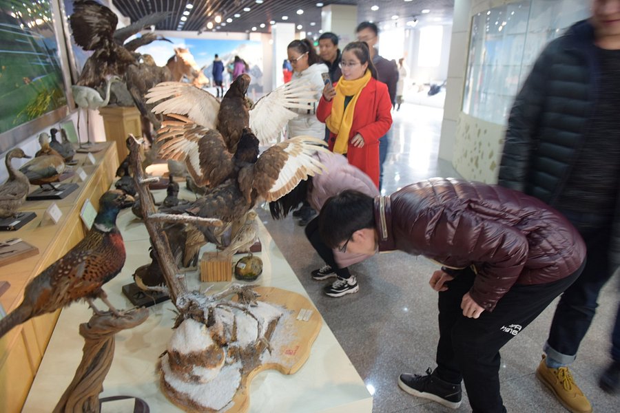 Specimen Museum of Ecology and Geography Institute, Chinese Academy of Sciences image