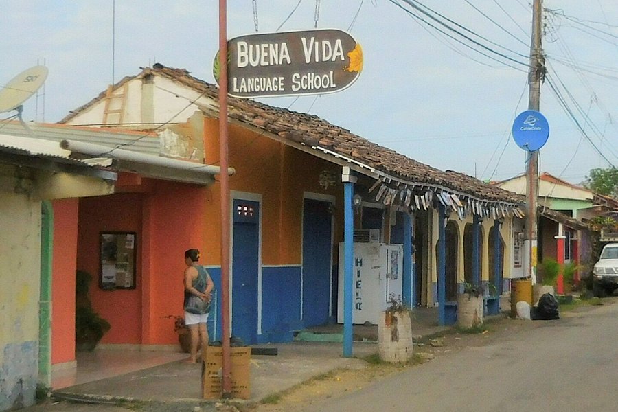 Buena Vida Language School image