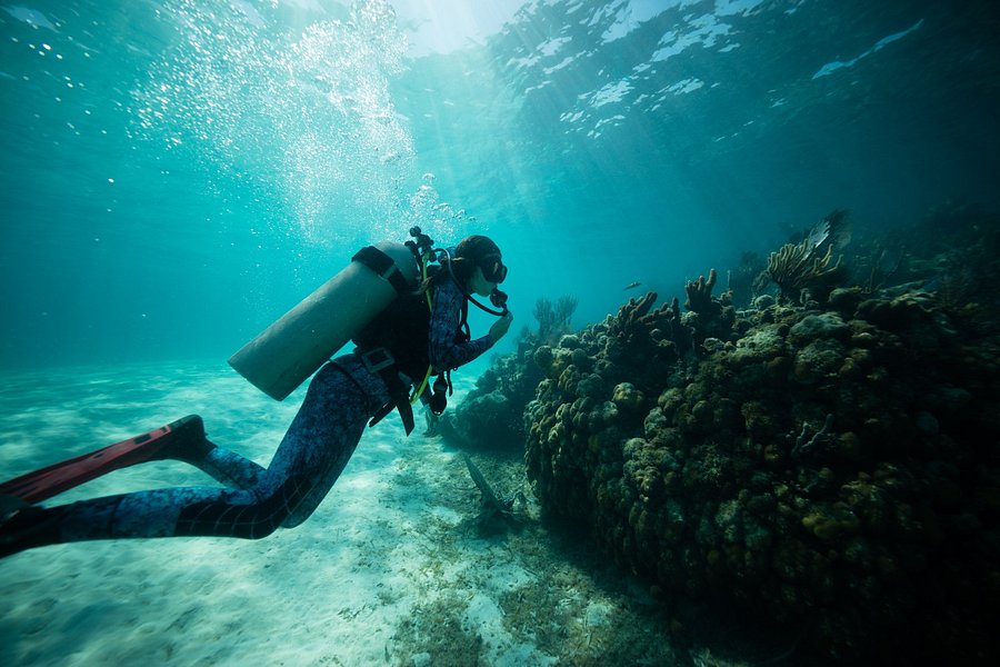 Belize Underwater image