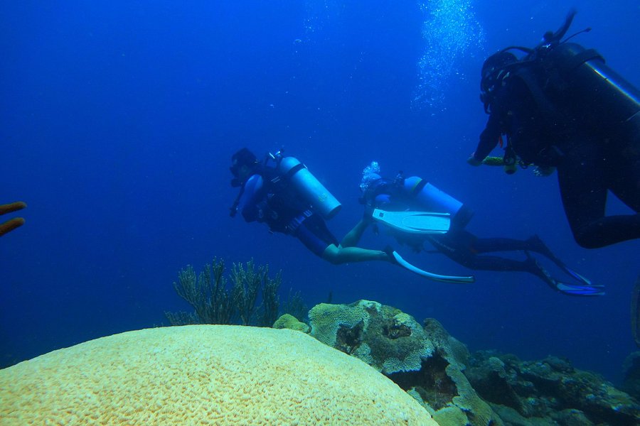 ChichiDive Scuba Dive Center image
