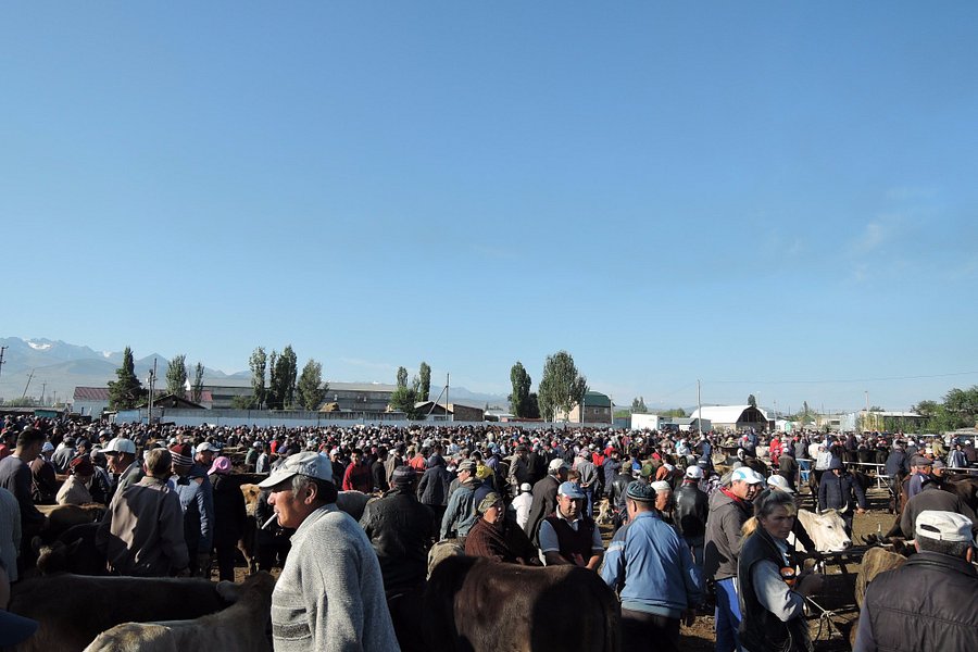 Karakol Cattle Market image
