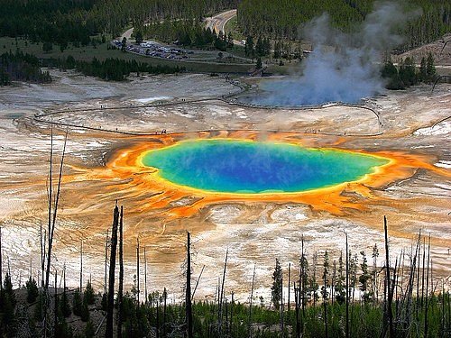 Yellowstone Scenic Tours image