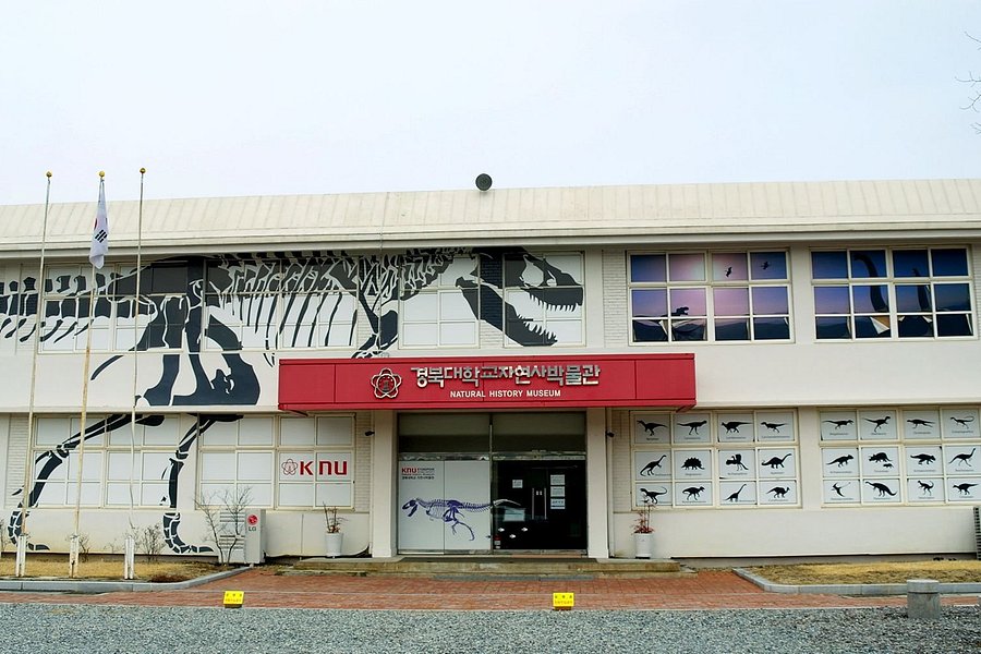 Kyungpook National University Natural History Museum image