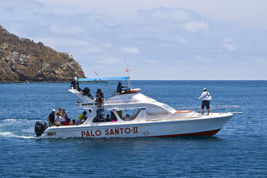 Palo Santo Travel Ecuador image
