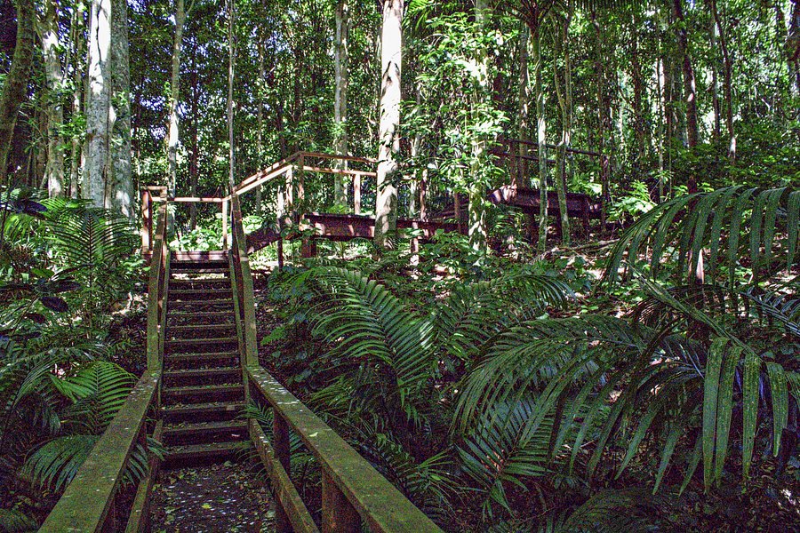 Norfolk Island National Park & Botanic Garden image
