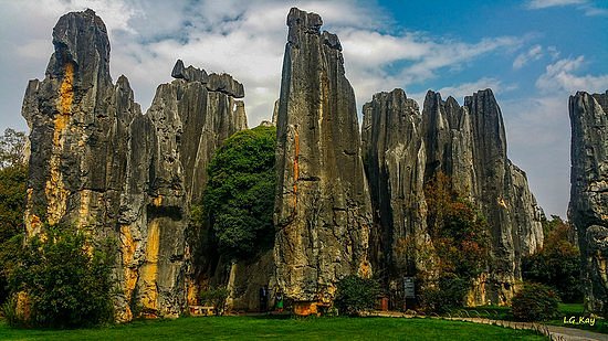 Yunnan Stone Forest Geological Park image
