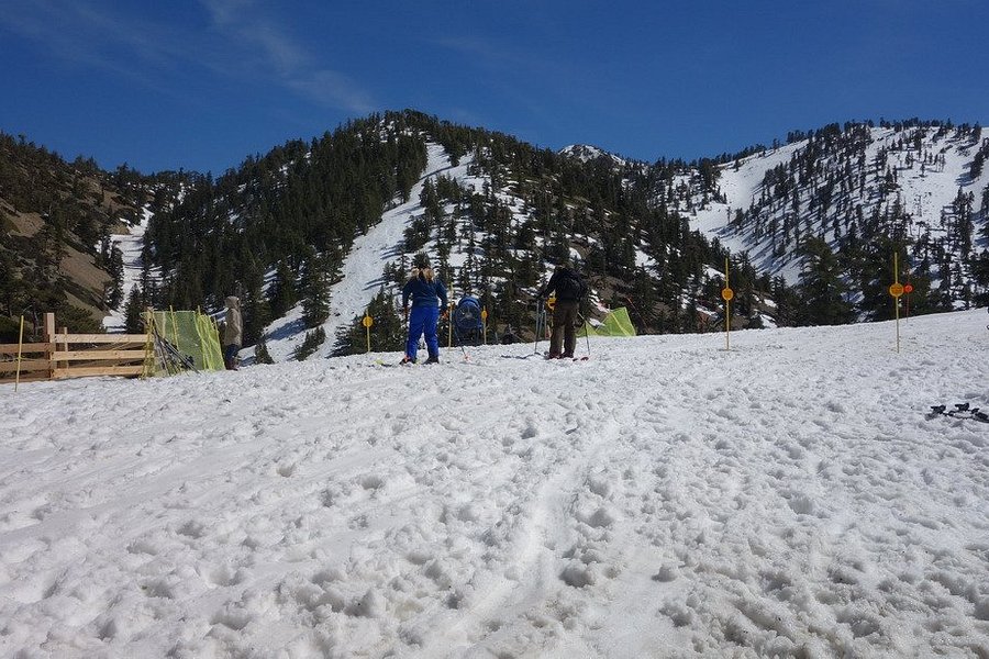 Mt. Baldy Ski Area image