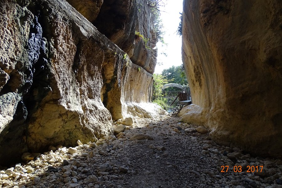 Vespasianus Titus Tunnel image