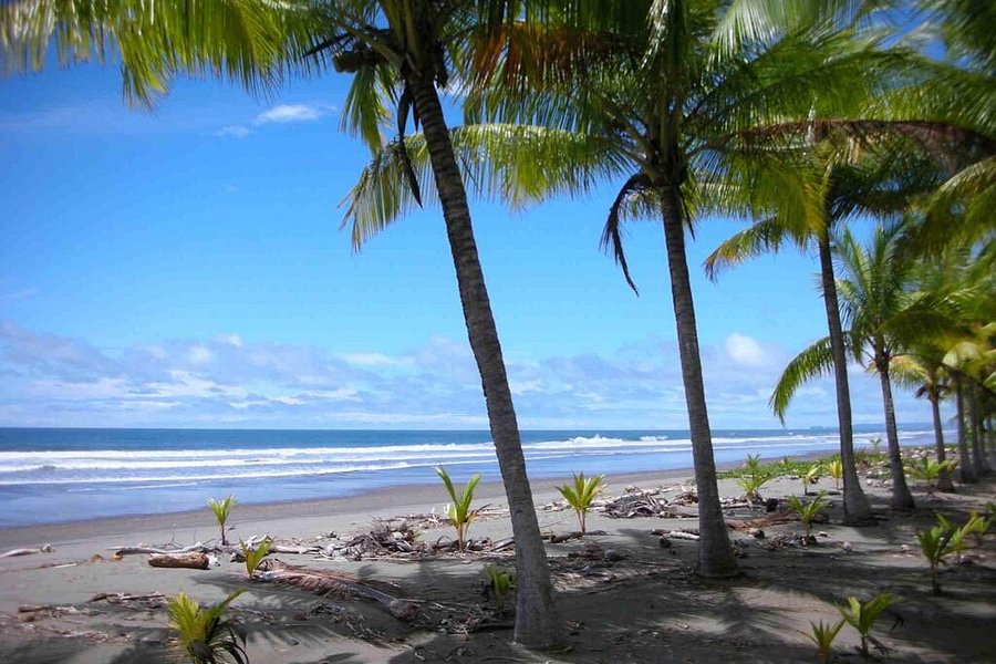 Playa Bejuco image