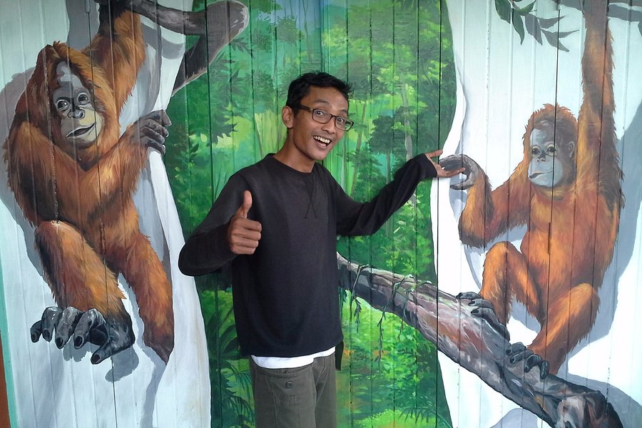 Orangutan Museum image