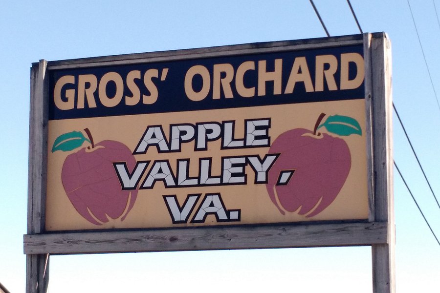 A.J. Gross & Sons Orchard image