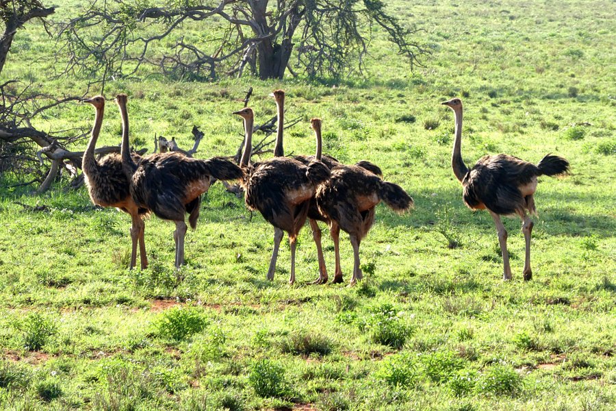 LUMO Community Wildlife Sanctuary image