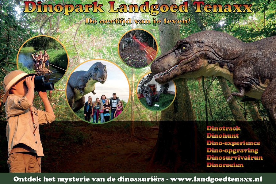 Dinopark Landgoed Tenaxx image