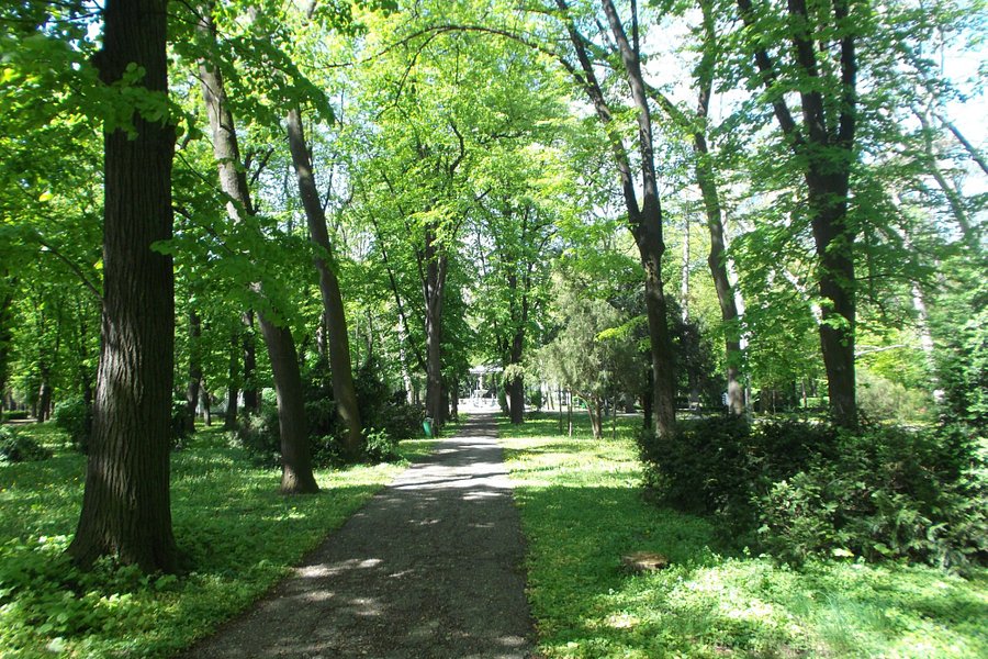 Gradski park image