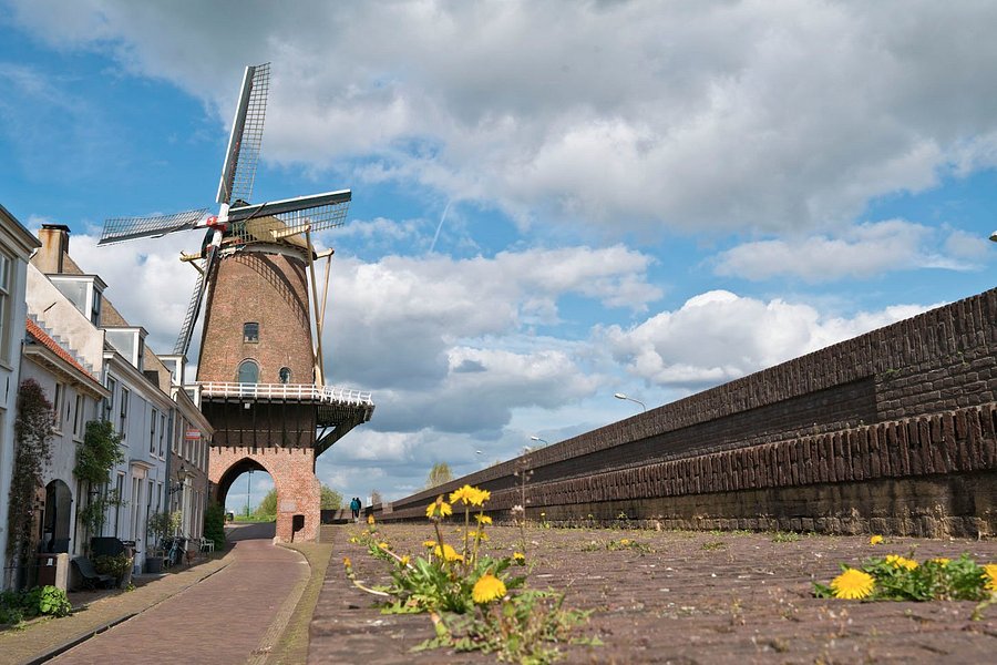Rijn en Lek Windmill image
