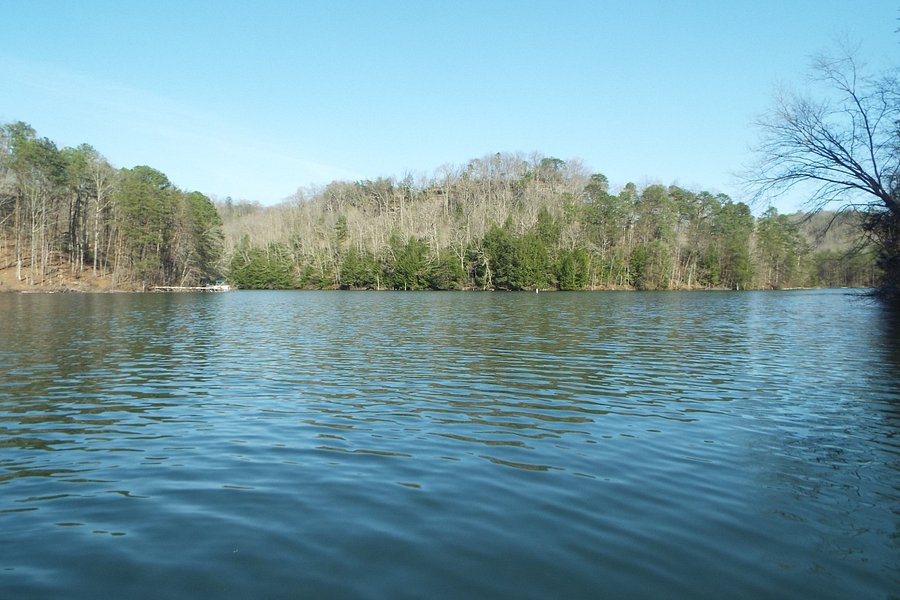 Wood Creek Lake image