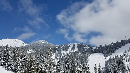Mount Shasta Board & Ski Park image