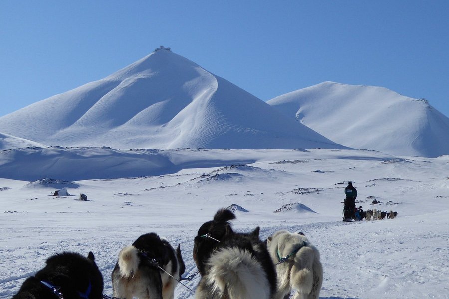 Green Dog Svalbard image
