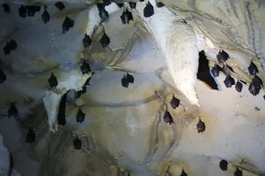 Bat Cave image