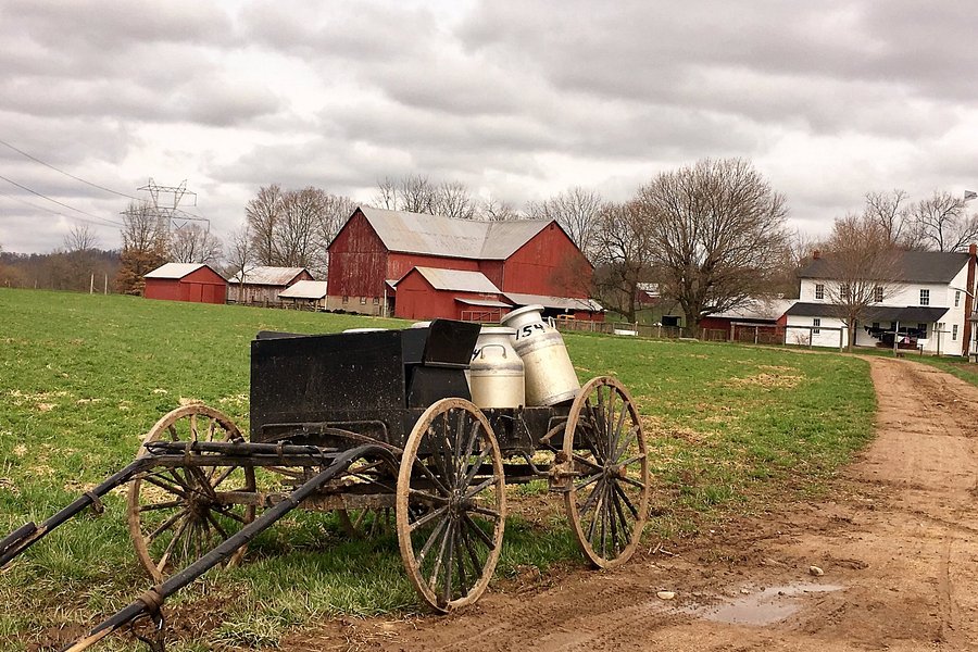 Amish Heartland Tours image