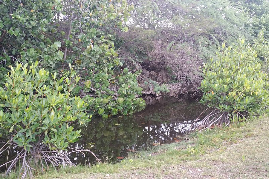 Nigua Ecological Park image