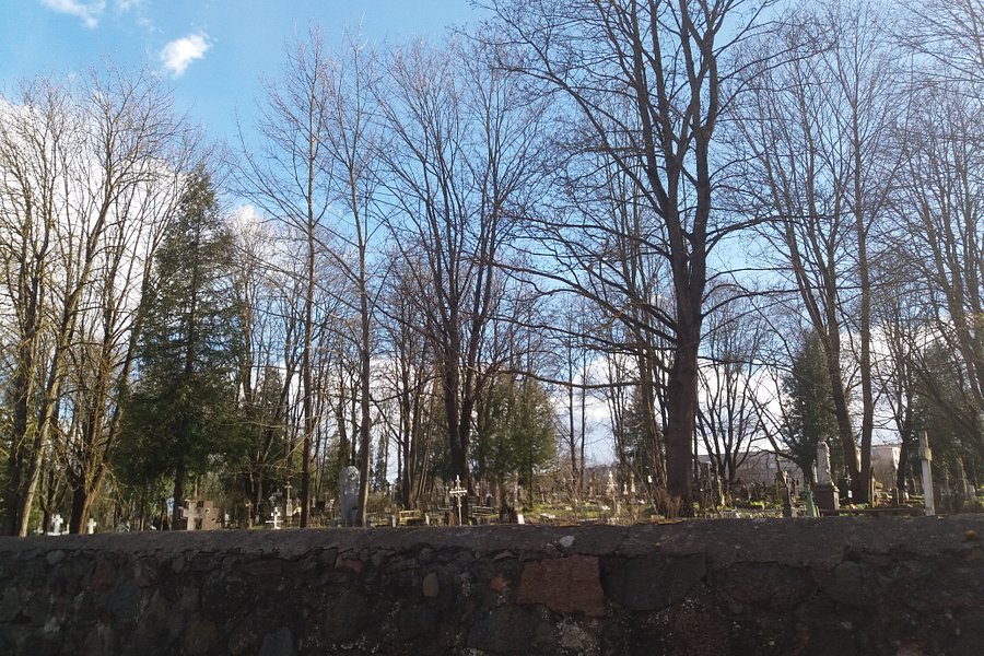 Siauliai Cemetery image