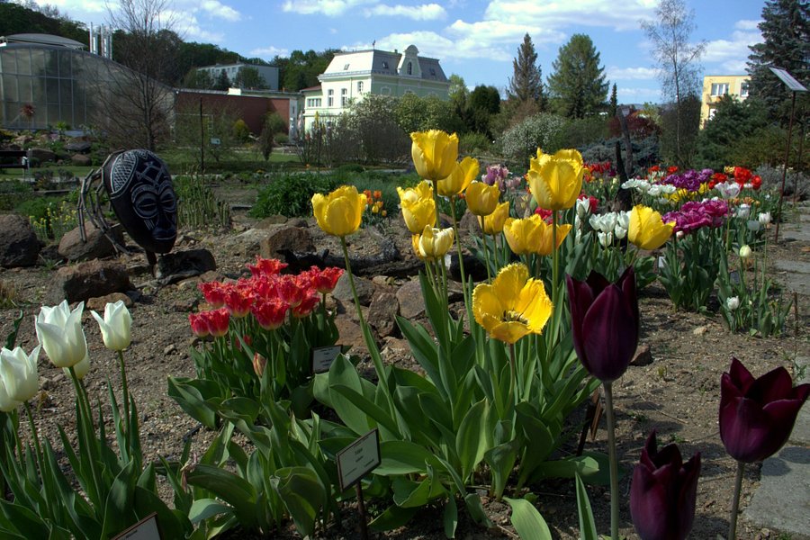 Botanicka Zahrada image