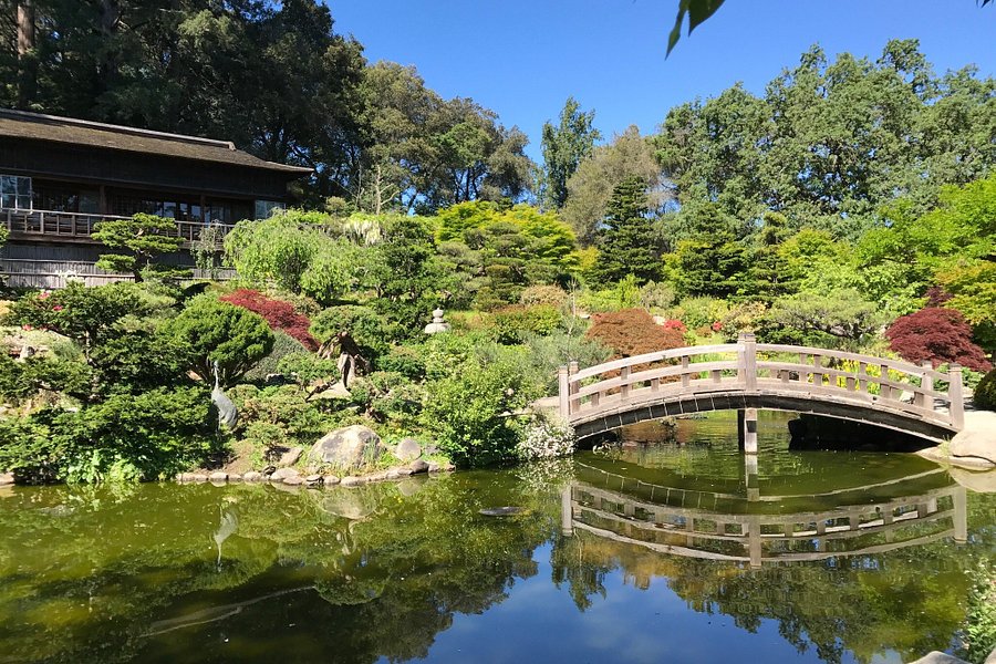 Hakone Gardens image