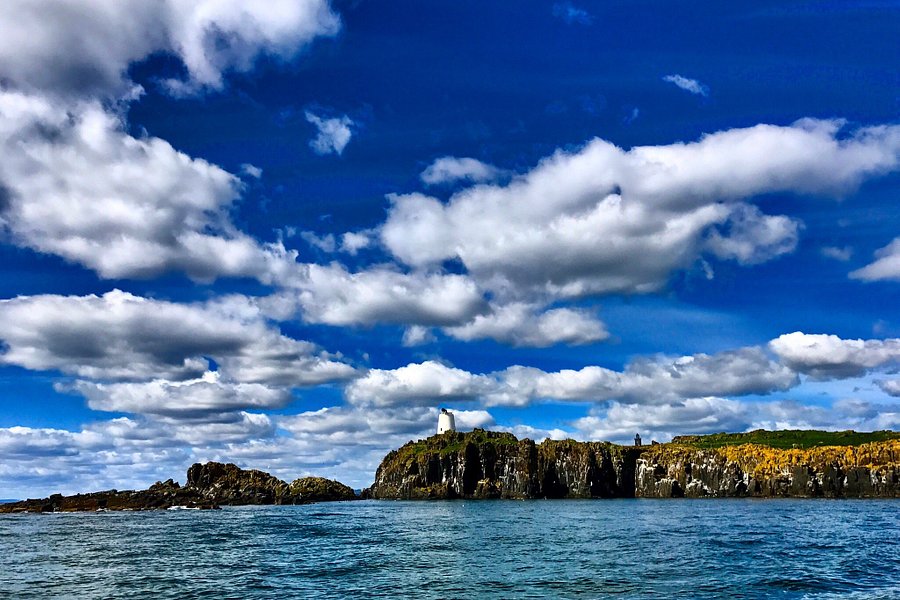 Isle of May National Nature Reserve image