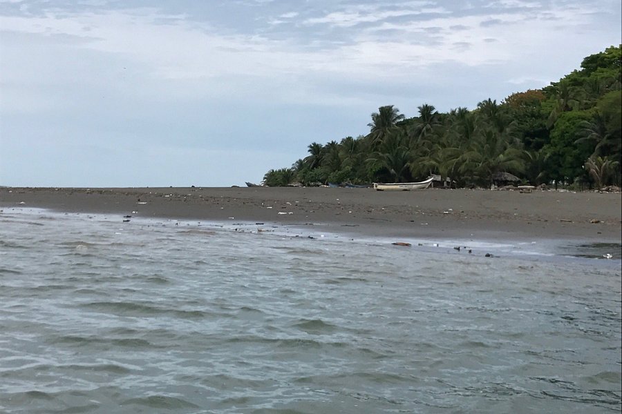 Pianguita Beach image