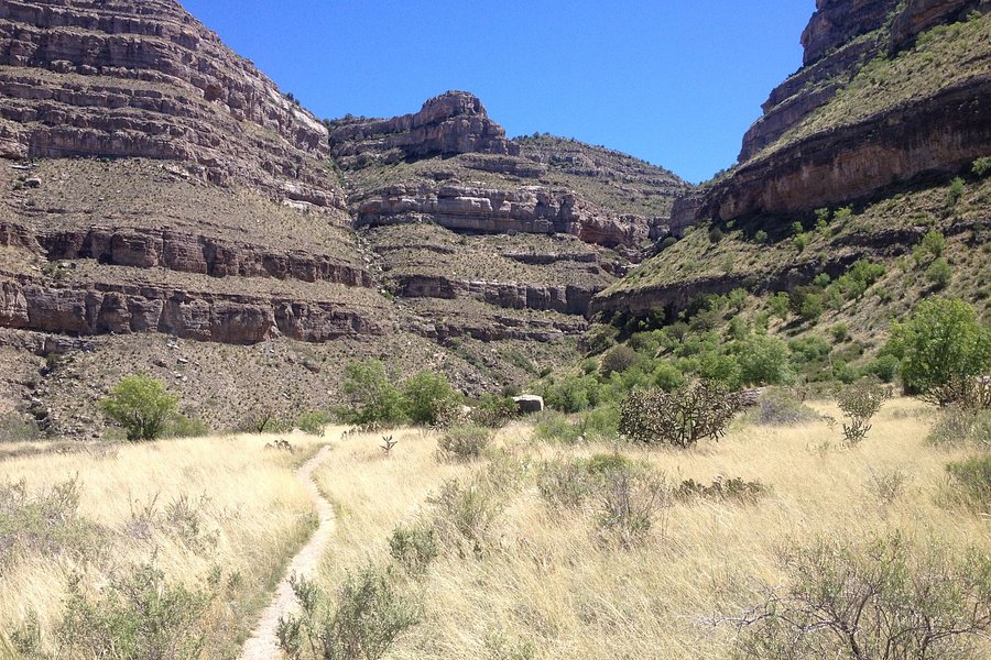 Dog Canyon Trail image