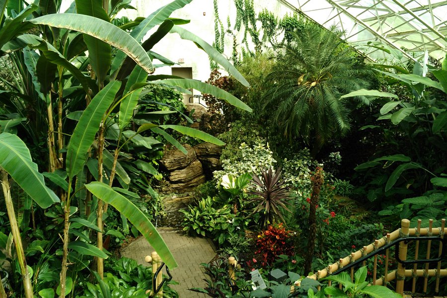Foellinger-Freimann Botanical Conservatory image
