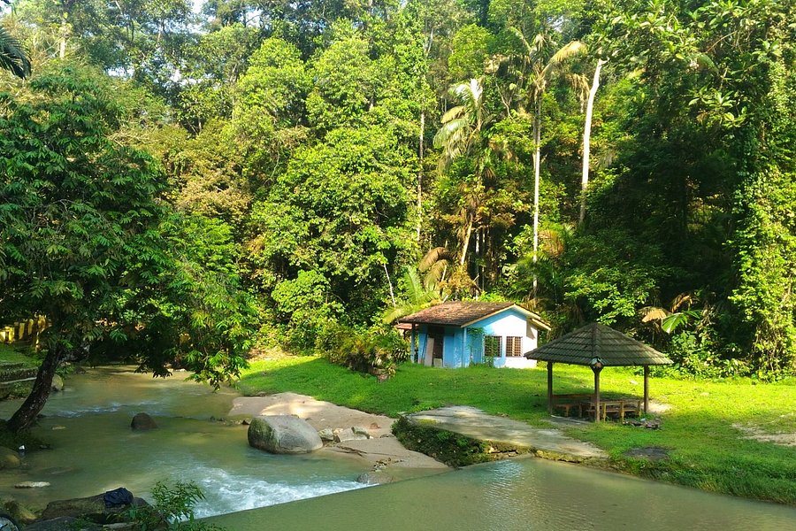 Ampang Recreational Forest image